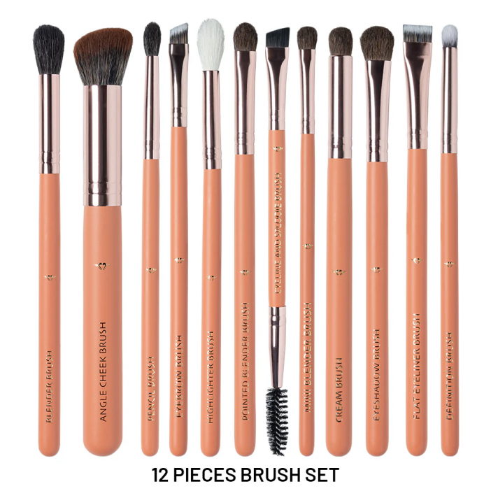 12 Pieces Brush Set